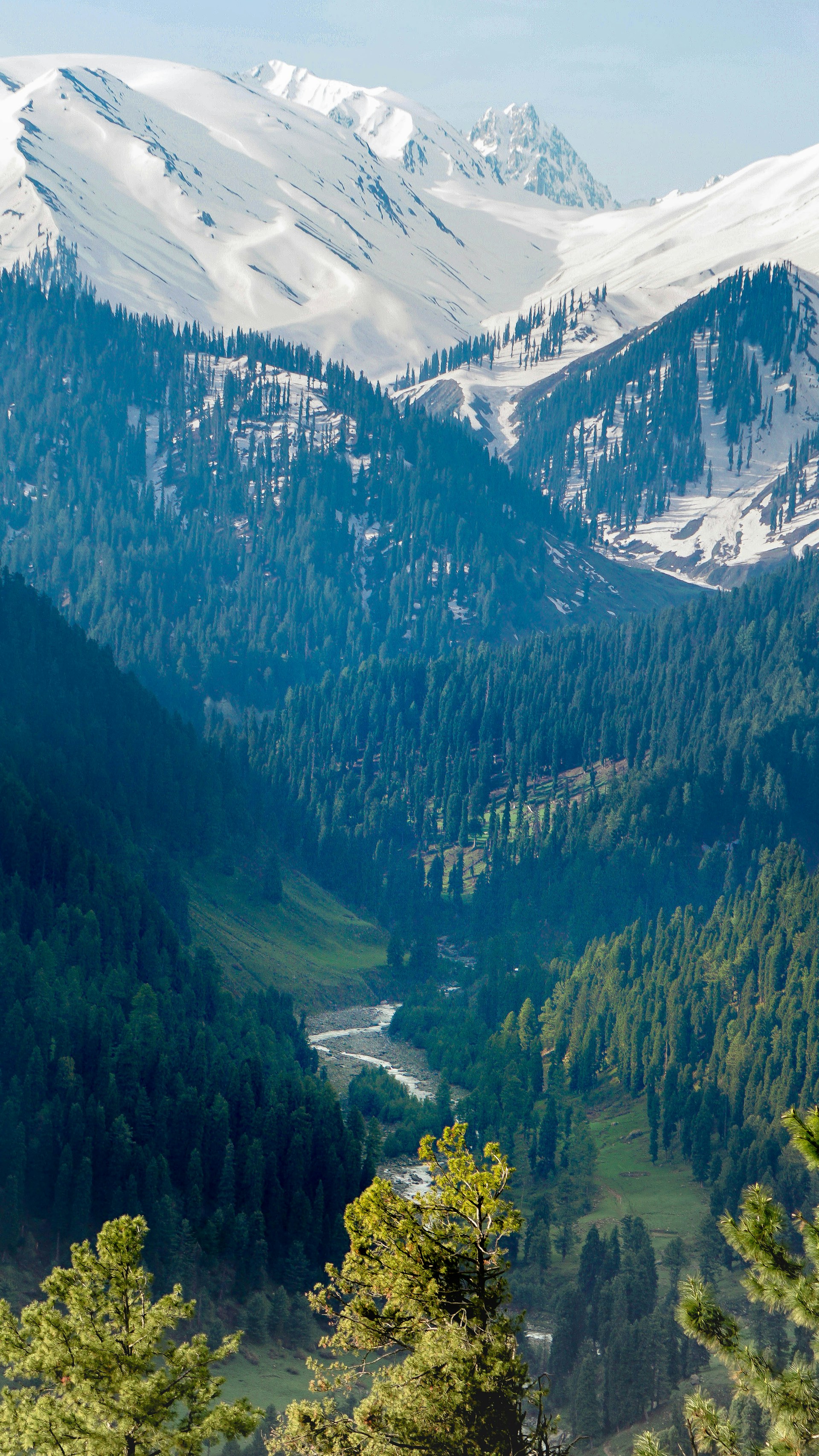 Kashmir With Vashno Devi 6 Nights
