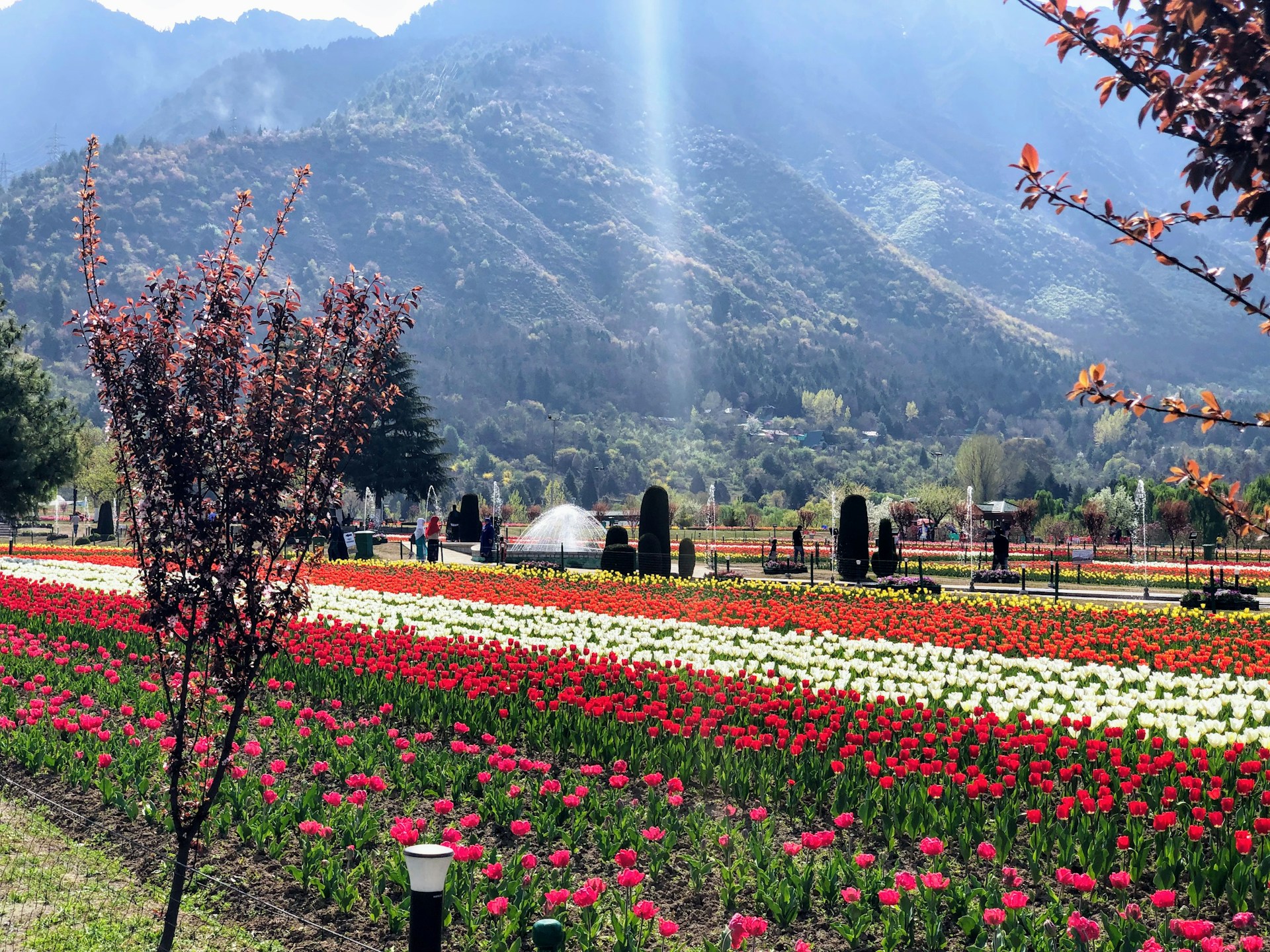 Kashmir With Vashno Devi 6 Nights
