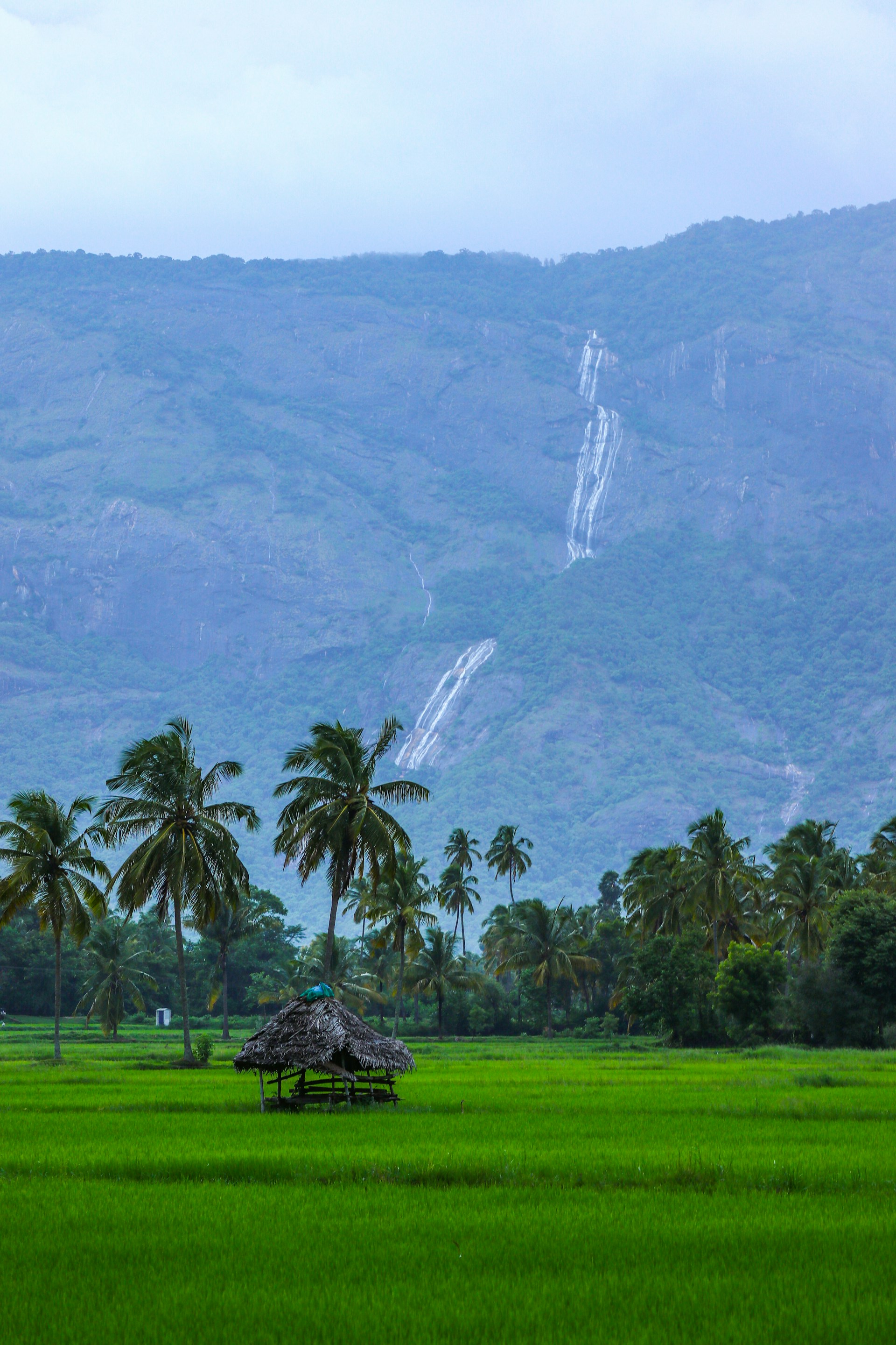 Exotic Kerala Tour 5 Nights
